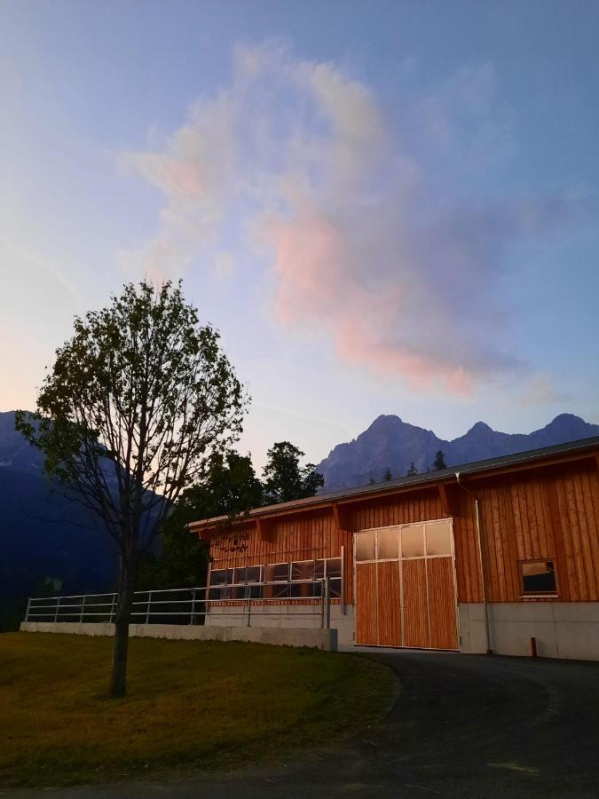 Appartement Muehlebnerhof Ramsau am Dachstein Exterior photo